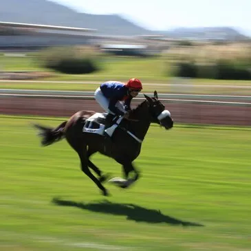 Bouches du Rhône (13) PACA et Corse - Urbain Bouches du Rhône (13) PACA et Corse - Urbain
