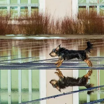 Nantes, Loire Atlantique (44) - Cours de Photographie Nantes, Loire Atlantique (44) - Cours de Photographie