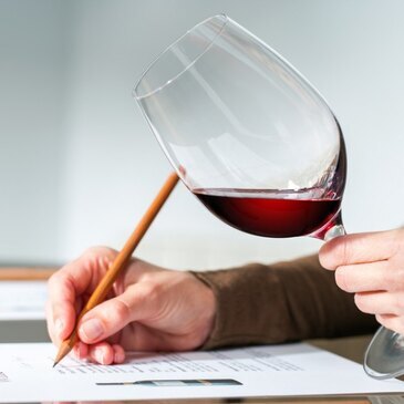 Clubs d'oenologie animation de degustations vins - RDV dans les Vignes