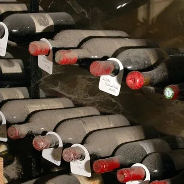 Vonnas, à 25 min. de Bourg-en-Bresse, Ain (01) - Cours d'œnologie Vonnas, à 25 min. de Bourg-en-Bresse, Ain (01) - Cours d'œnologie