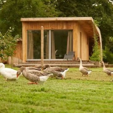 Ille et vilaine (35) Bretagne - Week end Ille et vilaine (35) Bretagne - Week end