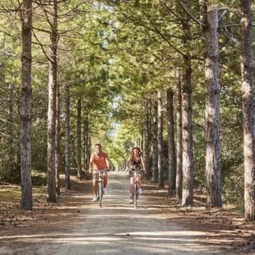 Week-end Bien-Être à Saint-Gilles-Croix-de-Vie en région Pays-de-la-Loire Week-end Bien-Être à Saint-Gilles-Croix-de-Vie en région Pays-de-la-Loire