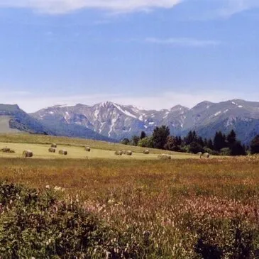 Quad & Buggy proche Saint-Nectaire Quad & Buggy proche Saint-Nectaire