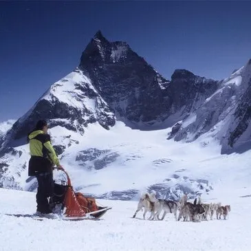 Chien de Traîneau en région Rhône-Alpes Chien de Traîneau en région Rhône-Alpes