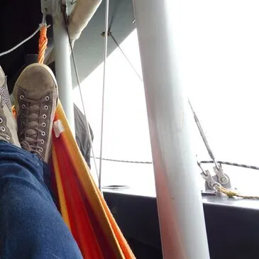 Balade en bateau, département Charente maritime Balade en bateau, département Charente maritime