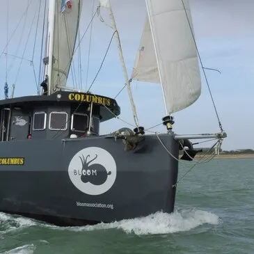 Charente maritime (17) Poitou-Charentes - Sport Aquatique Charente maritime (17) Poitou-Charentes - Sport Aquatique