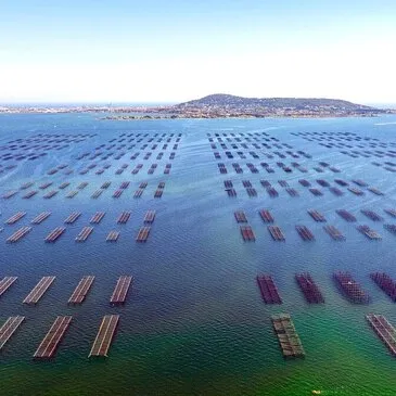 Offrir Baptême de l'air hélicoptère département Hérault Offrir Baptême de l'air hélicoptère département Hérault