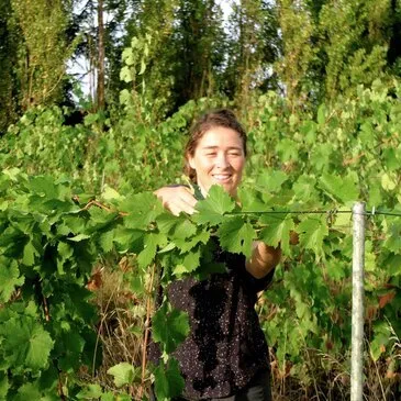 Nantes, Loire Atlantique (44) - Cours d'œnologie Nantes, Loire Atlantique (44) - Cours d'œnologie