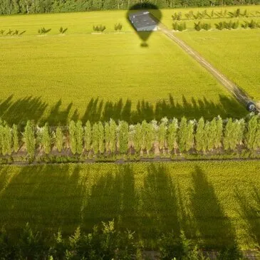 Chaumont-sur-Loire, Loir et cher (41) - Baptême de l'air montgolfière Chaumont-sur-Loire, Loir et cher (41) - Baptême de l'air montgolfière