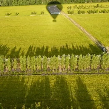 Amboise, Indre et loire (37) - Baptême de l'air montgolfière Amboise, Indre et loire (37) - Baptême de l'air montgolfière