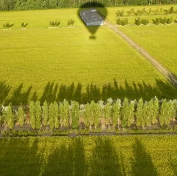 Réserver Baptême de l&#39;air montgolfière département Indre et loire