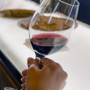 Cours d'œnologie en région PACA et Corse Cours d'œnologie en région PACA et Corse