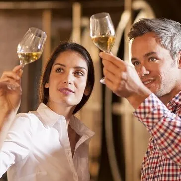 Cours d'œnologie, département Gironde Cours d'œnologie, département Gironde