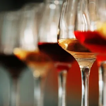 Cours d'œnologie, département Maine et loire Cours d'œnologie, département Maine et loire