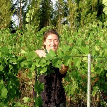 Cours d'œnologie en région Pays-de-la-Loire Cours d'œnologie en région Pays-de-la-Loire