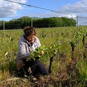 Maine et loire (49) Pays-de-la-Loire - Urbain Maine et loire (49) Pays-de-la-Loire - Urbain
