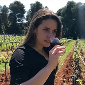 Cours d'œnologie, département Alpes Maritimes Cours d'œnologie, département Alpes Maritimes