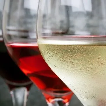 Cours d'œnologie en région PACA et Corse Cours d'œnologie en région PACA et Corse