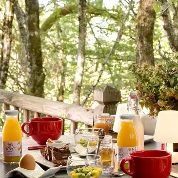Cabane dans les Arbres avec Spa près de Brive-la-Gaillarde en région Limousin Cabane dans les Arbres avec Spa près de Brive-la-Gaillarde en région Limousin
