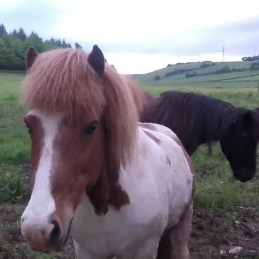 Nièvre (58) Bourgogne - Week end Nièvre (58) Bourgogne - Week end