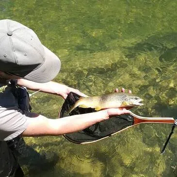 Pêche au gros, département Jura