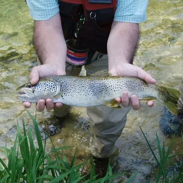 Jura (39) Franche-Comté - Sport Aquatique