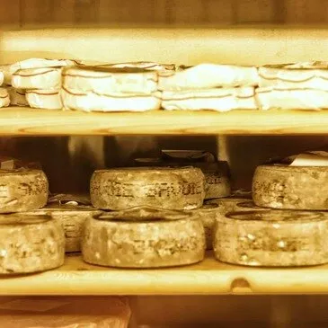 Paris, Paris (75) - City Tour Paris, Paris (75) - City Tour