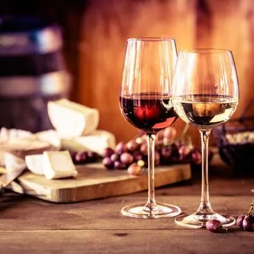 Cours d'Œnologie à Nancy Cours d'Œnologie à Nancy