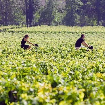 Week end Gastronomique, département Gironde