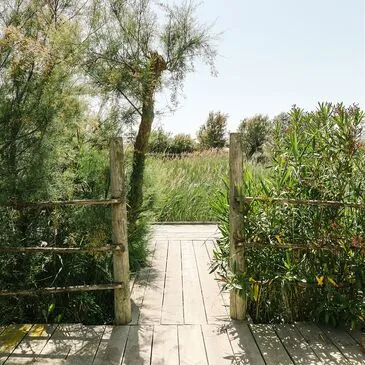 Bouches du Rhône (13) PACA et Corse - Week end Bouches du Rhône (13) PACA et Corse - Week end