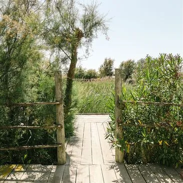 Bouches du Rhône (13) PACA et Corse - Week end Bouches du Rhône (13) PACA et Corse - Week end