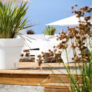 Biscarrosse, Landes (40) - Week end en Amoureux Biscarrosse, Landes (40) - Week end en Amoureux