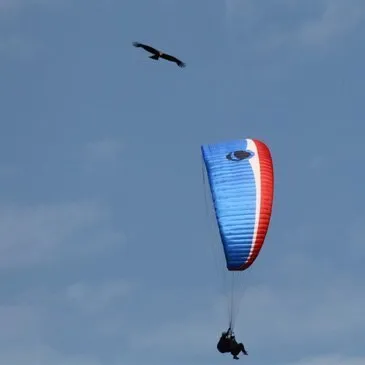 Offrir Week end dans les Airs en Midi-Pyrénées Offrir Week end dans les Airs en Midi-Pyrénées