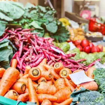 Cours de Cuisine avec Dégustation de vins à Toulouse en région Midi-Pyrénées Cours de Cuisine avec Dégustation de vins à Toulouse en région Midi-Pyrénées