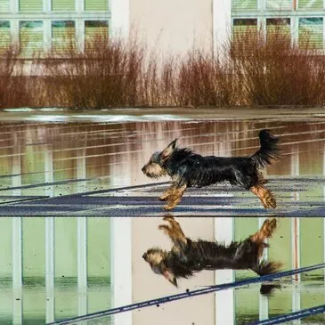 Cours de Photographie en région Bretagne Cours de Photographie en région Bretagne