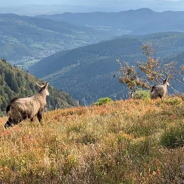 Offrir Week end à la Montagne département Haut rhin Offrir Week end à la Montagne département Haut rhin