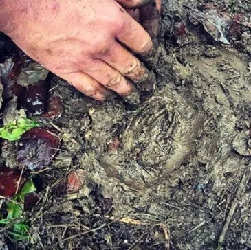 Côte d'or (21) Bourgogne - Week end Côte d'or (21) Bourgogne - Week end