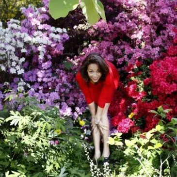 L'Haÿ-les-Roses et alentours, Val de marne (94) - Shooting Photo L'Haÿ-les-Roses et alentours, Val de marne (94) - Shooting Photo