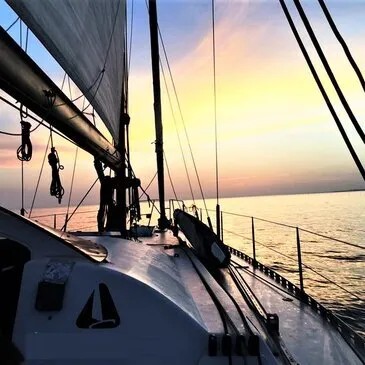 Sortie Privative en Catamaran de Course à Port-Camargue Sortie Privative en Catamaran de Course à Port-Camargue