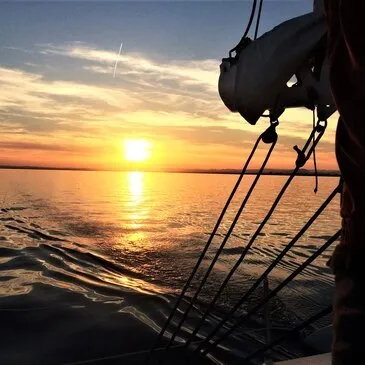 Balade en bateau proche Port-Camargue