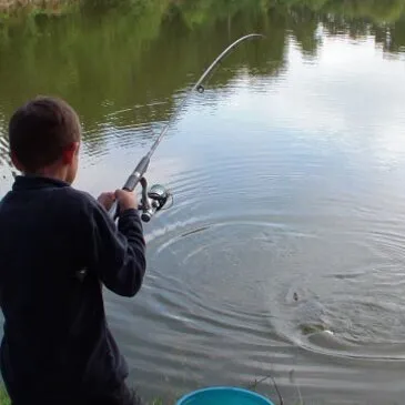 Stage de Pêche Sportive à La Roche-sur-Yon en région Pays-de-la-Loire