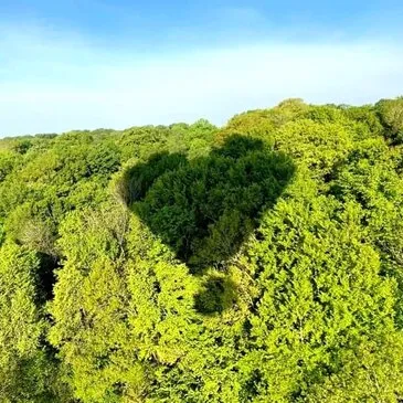 Réserver Baptême de l'air montgolfière en Picardie Réserver Baptême de l'air montgolfière en Picardie