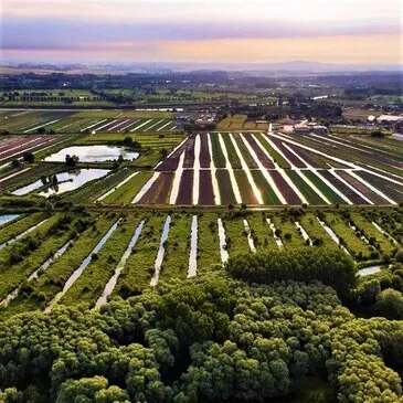 Baptême de l'air montgolfière proche Habarcq, à 20 min d'Arras Baptême de l'air montgolfière proche Habarcq, à 20 min d'Arras