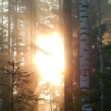 Urbain en région Ile-de-France Urbain en région Ile-de-France