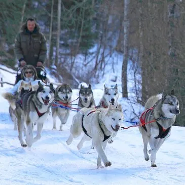 Randonnée en Chiens de Traîneau dans les Pyrénées Catalanes Randonnée en Chiens de Traîneau dans les Pyrénées Catalanes