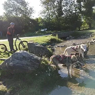 Balade en Cani-Trottinette dans les Pyrénées Catalanes Balade en Cani-Trottinette dans les Pyrénées Catalanes