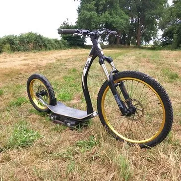 Chien de Traîneau, département Pyrénées orientales Chien de Traîneau, département Pyrénées orientales