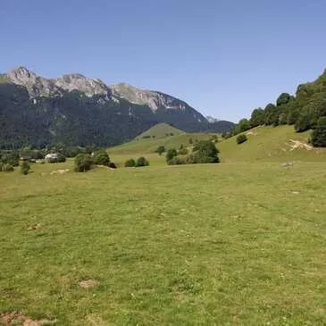 Chien de Traîneau en région Languedoc-Roussillon Chien de Traîneau en région Languedoc-Roussillon