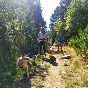 Balade en Cani-Rando dans les Pyrénées Catalanes Balade en Cani-Rando dans les Pyrénées Catalanes