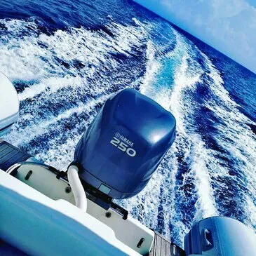 Balade en bateau proche Presqu'île de Giens Balade en bateau proche Presqu'île de Giens